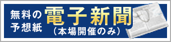 電子新聞